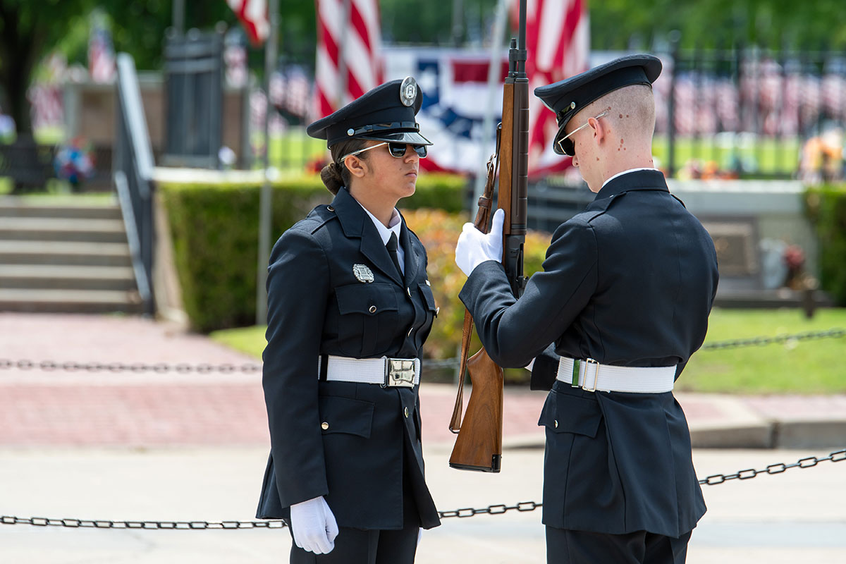 The rifle inspection